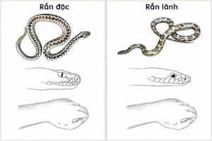 HÃY ĐỌC 17 MẸO SAU ĐÂY CÓ LÚC NÓ SẼ CỨU BẠN
