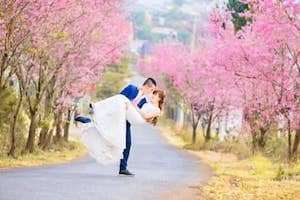 Những địa điểm ngắm hoa Mai Anh Đào đẹp nhất Đà Lạt