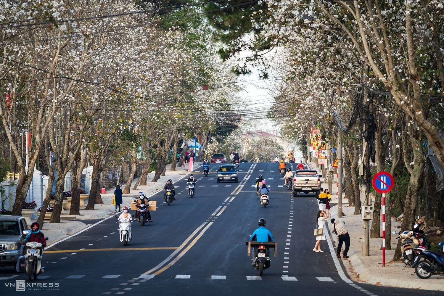 M&ugrave;a hoa ban 