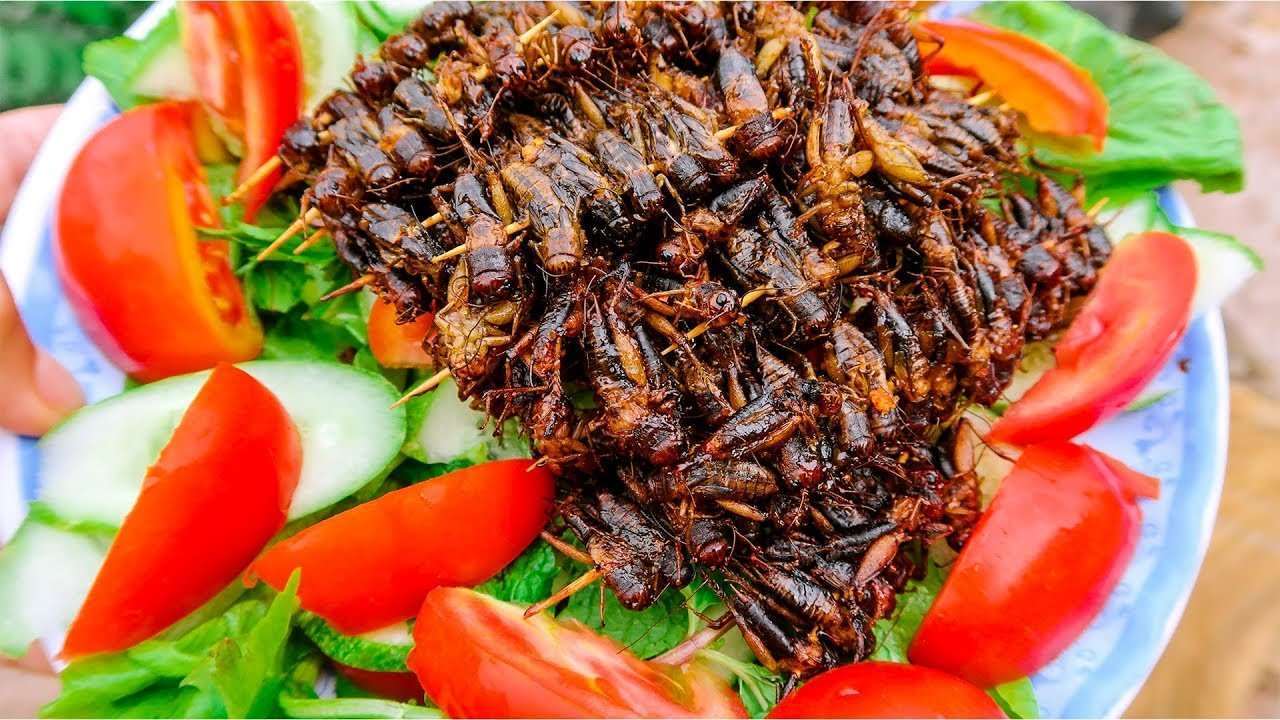 M&oacute;n ăn từ dế