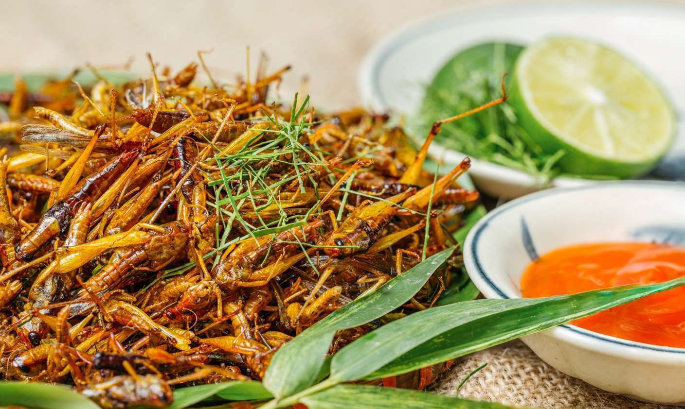 M&oacute;n ăn từ dế