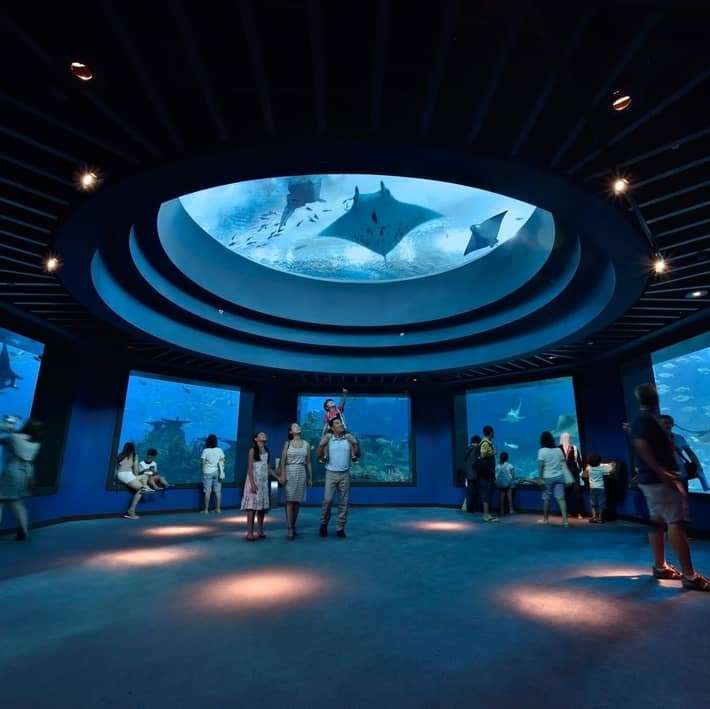 Thủy cung Sea Aquarium - Singapore
