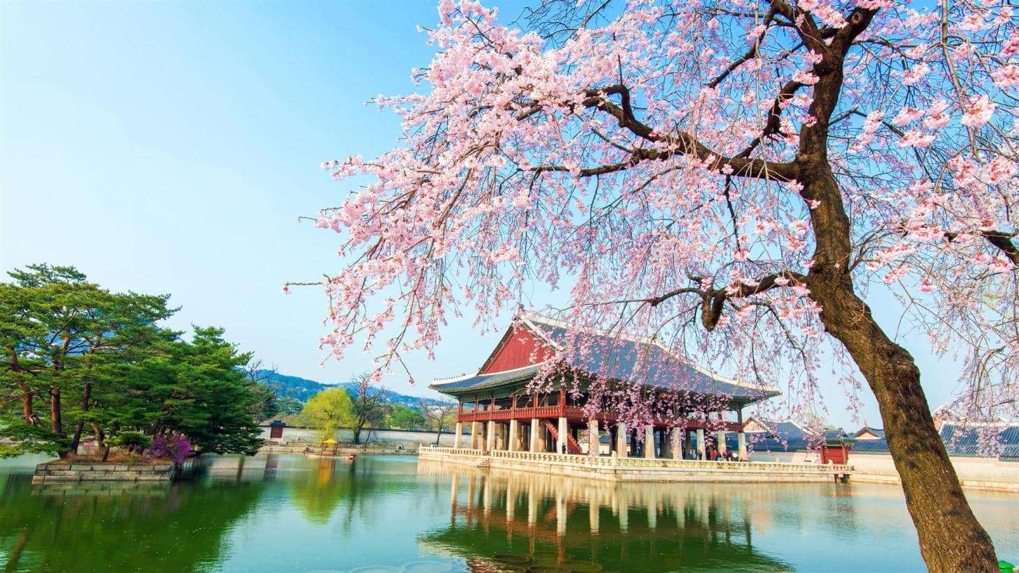 Đường bay thẳng Incheon Đ&agrave; Lạt
