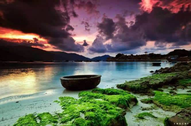 Cảnh hoàng hôn đẹp như tranh vẽ ở Bình Hưng Cảnh hoàng hôn đẹp như tranh vẽ ở Bình Hưng