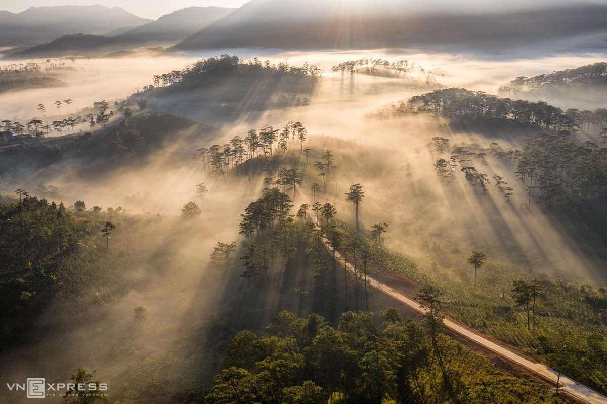Săn m&acirc;y Đ&agrave; Lạt