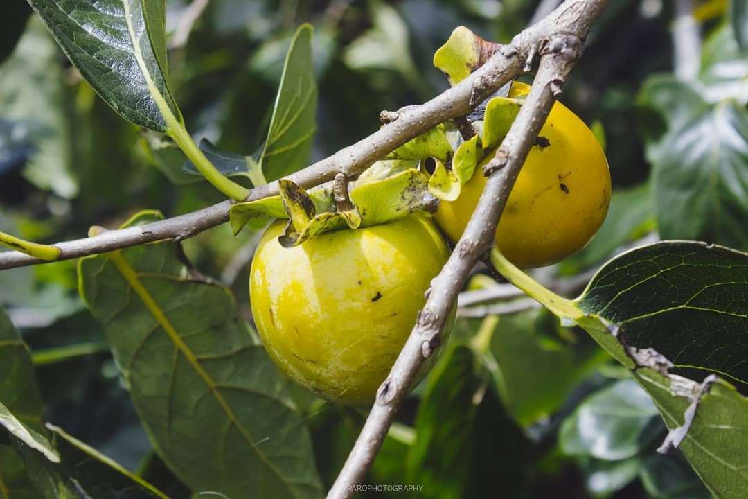 Du lịch Tháng 10