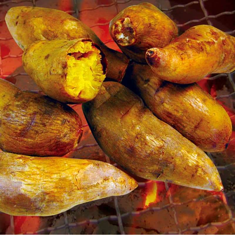 khoai nuong