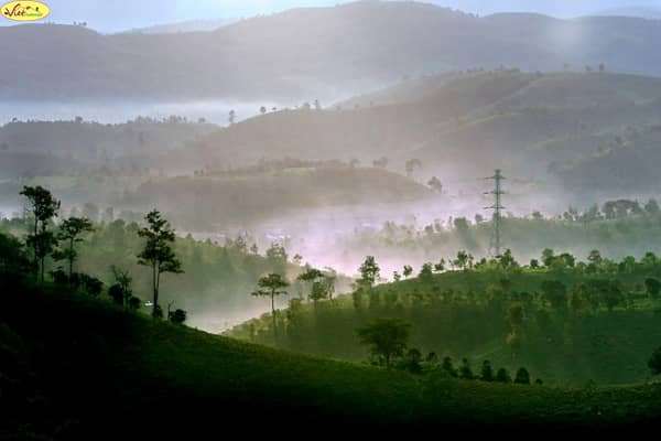 Cẩm nang hướng dẫn chi tiết cho người đi du lịch Bảo Lộc – Lâm Đồng Cẩm nang hướng dẫn chi tiết cho người đi du lịch Bảo Lộc – Lâm Đồng