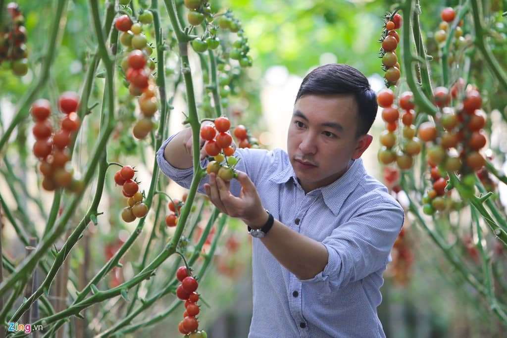 b&iacute; ng&ocirc; tại đ&agrave; lạt