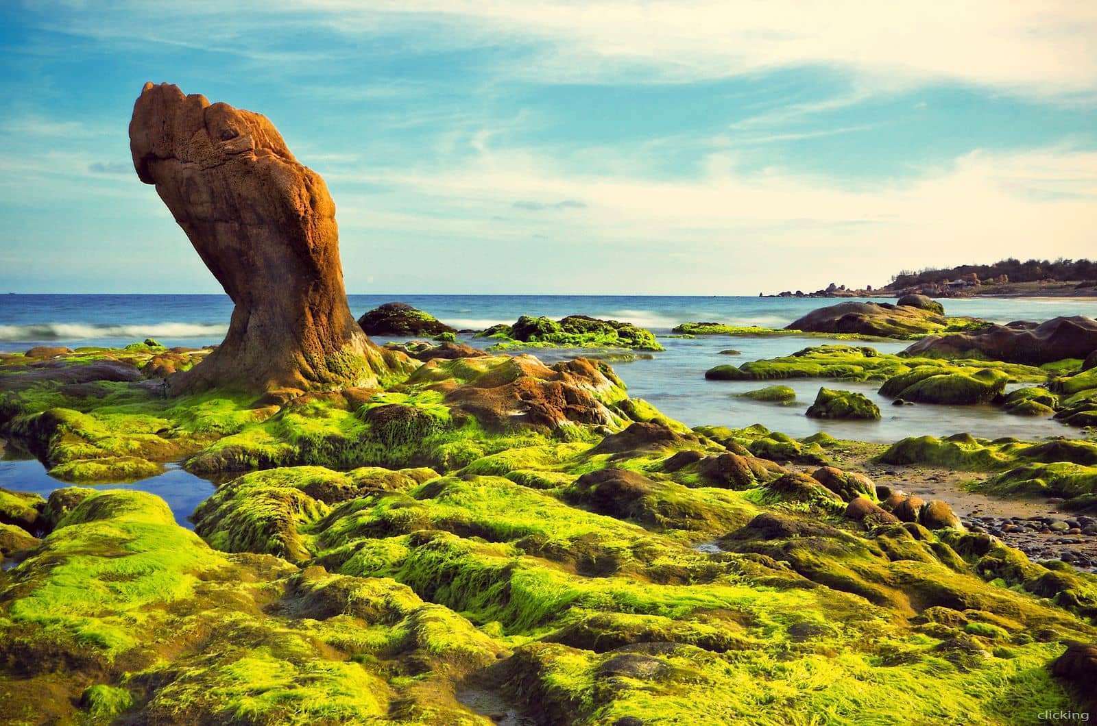 VIet Nam VIet Nam