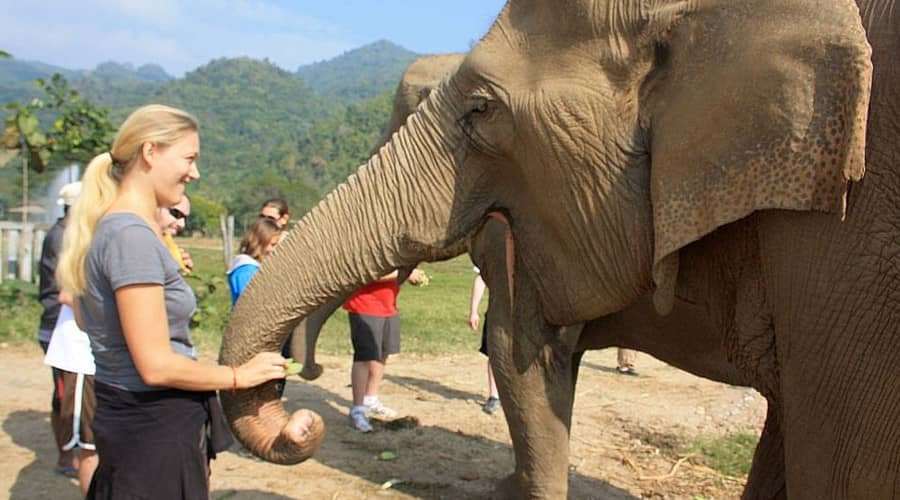 chiang mai th&aacute;i lan