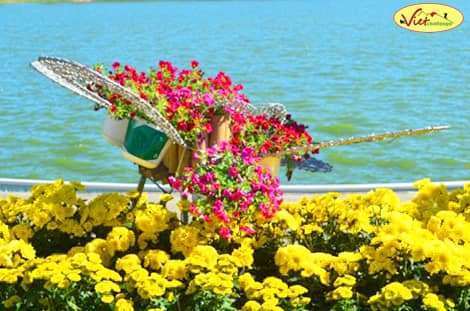 Festival Hoa Đ&agrave; Lạt
