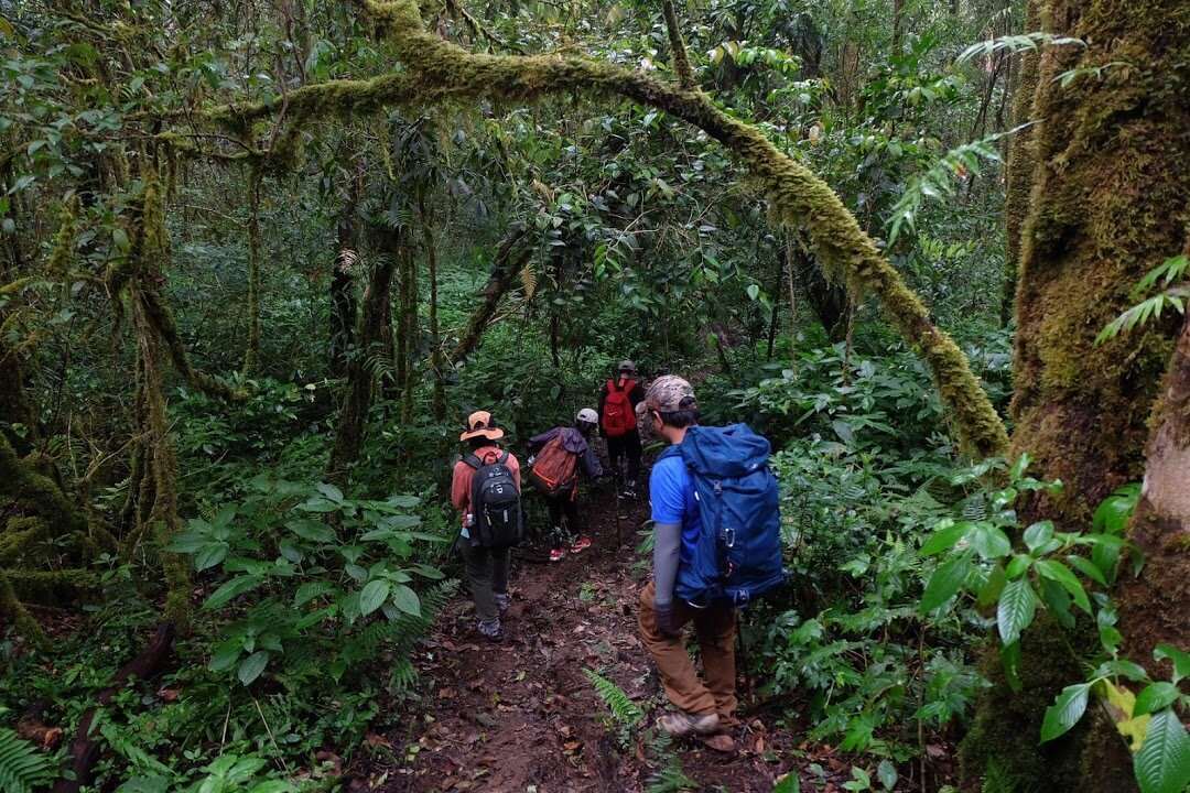 trekking