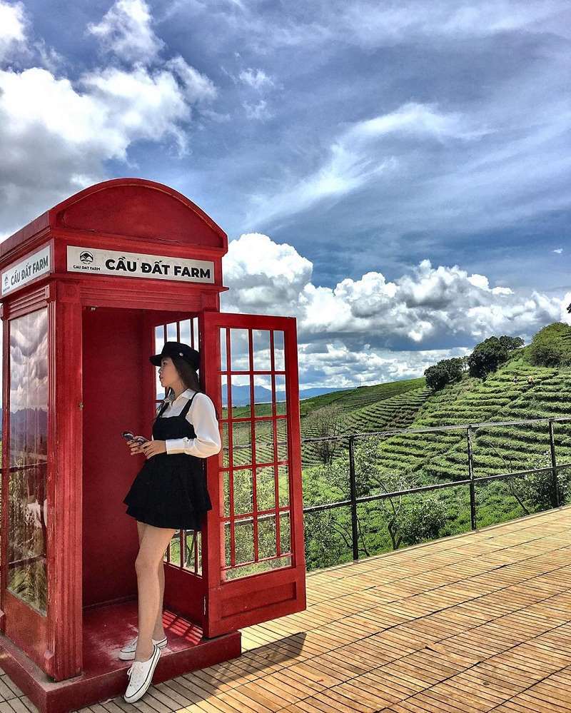 Đồi Ch&egrave; Cầu đất