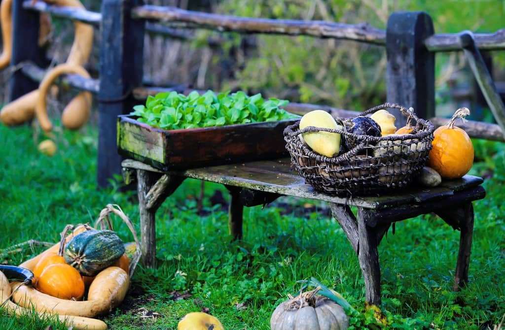 du lịch mạo hiểm đ&agrave; lạt