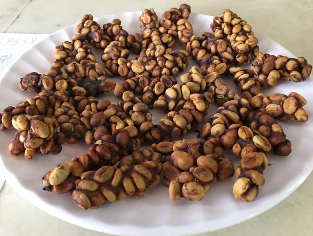 M&ecirc; Linh Coffee
