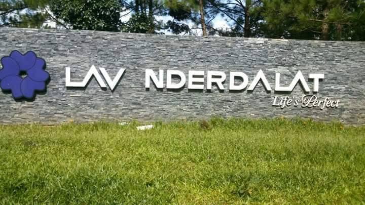 ssad ưd