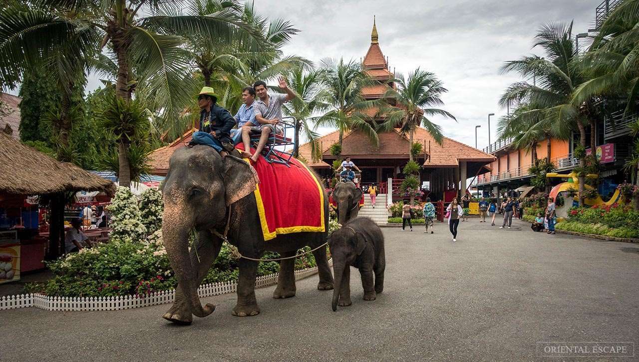 Nong Nooch