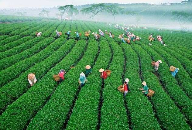 du lịch Đ&agrave; Lạt