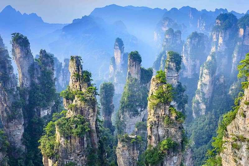 trương gia giới 