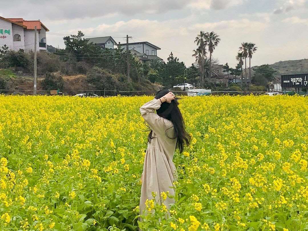 Đảo Jeju
