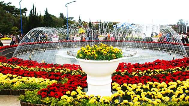 Vườn hoa thành phố Đà Lạt có gì