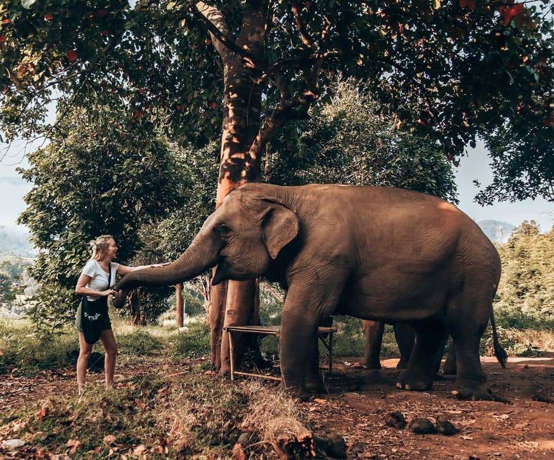 Du lịch Th&aacute;i Lan